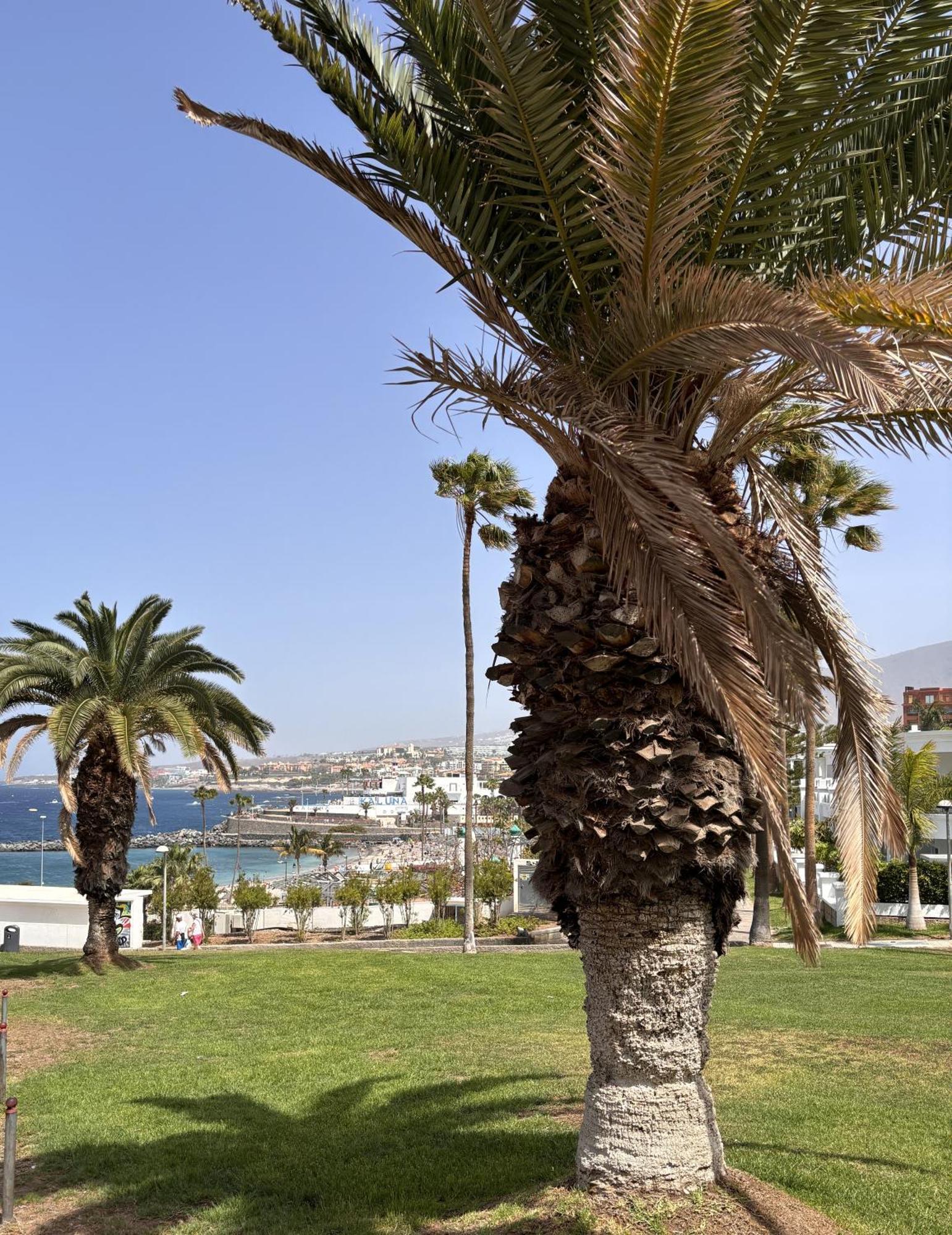 Ocean View Near The Beach Costa Adeje Экстерьер фото
